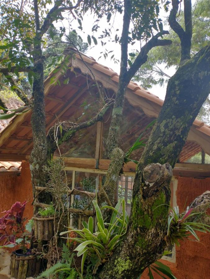 Inn Alquimia